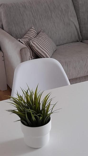 Apartmán Terrassa-Solarium Centre Platja d'Aro Exteriér fotografie